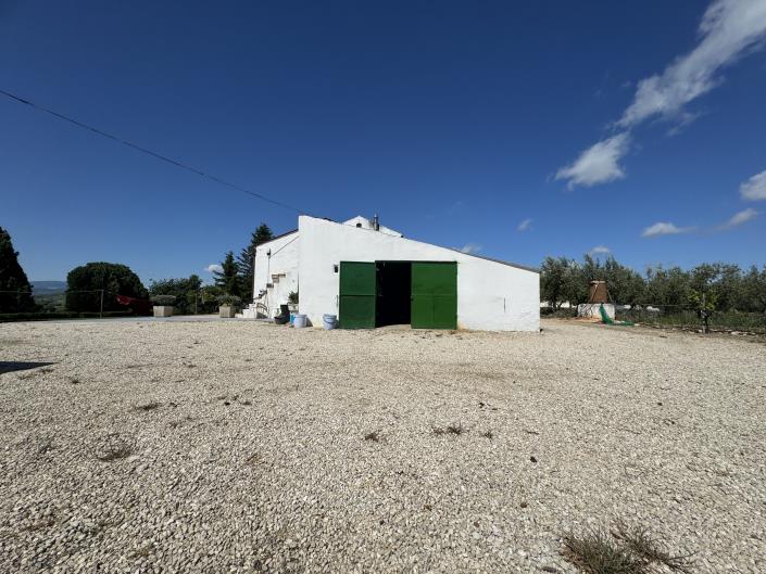 Image No.30-Villa / Détaché de 3 chambres à vendre à Scerni