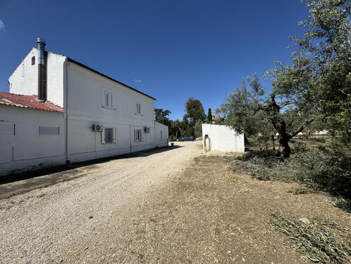 Image No.31-Villa / Détaché de 3 chambres à vendre à Scerni