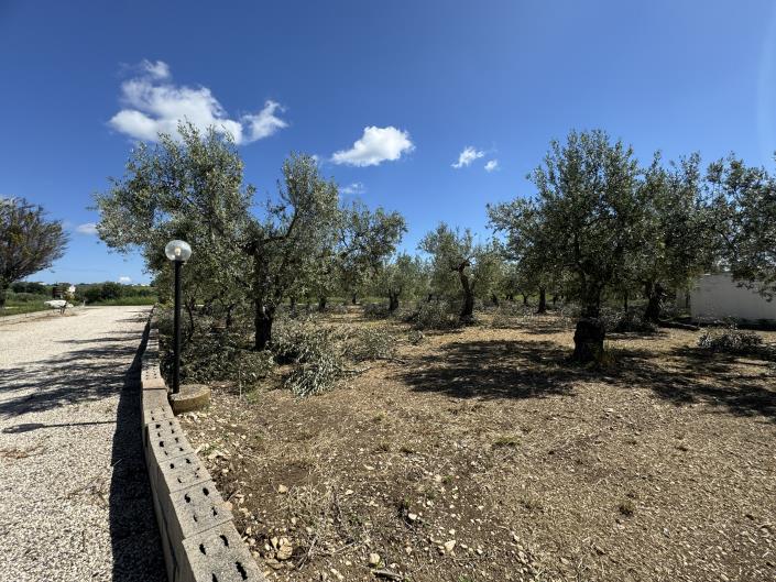 Image No.37-Villa / Détaché de 3 chambres à vendre à Scerni