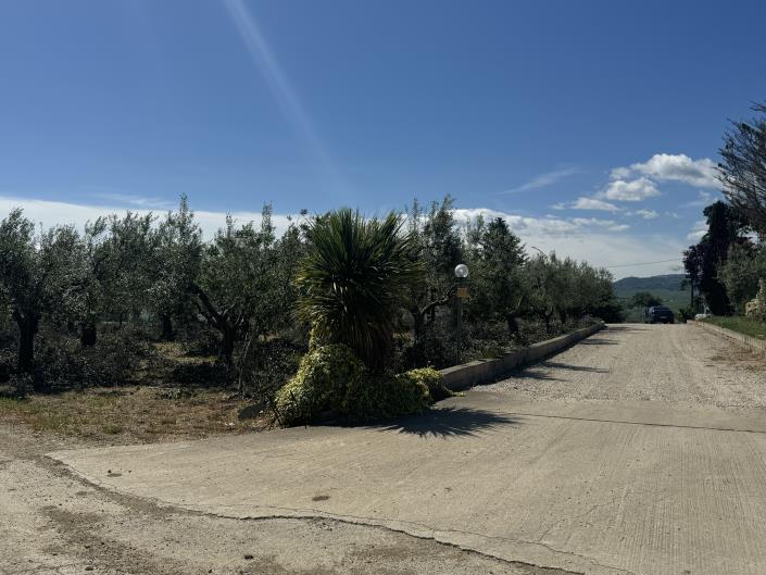 Image No.38-Villa / Détaché de 3 chambres à vendre à Scerni