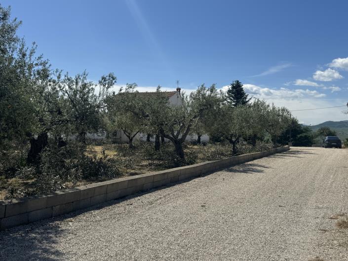 Image No.39-Villa / Détaché de 3 chambres à vendre à Scerni