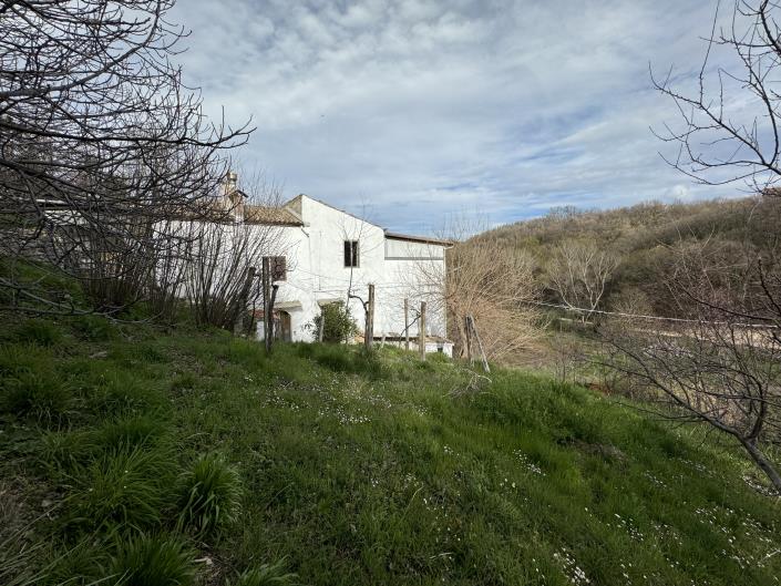 Image No.35-2 Bed House for sale