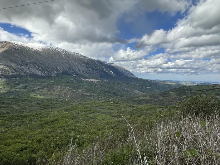 Image No.40-1 Bed Apartment for sale