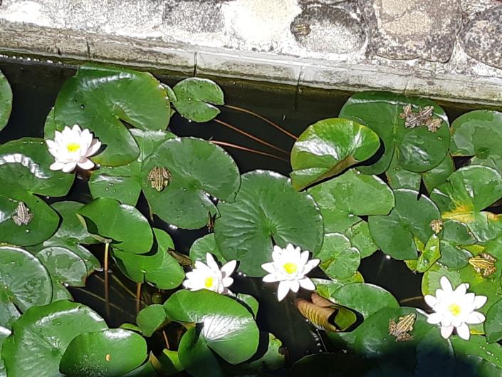 Image No.10-4 Bed Villa for sale