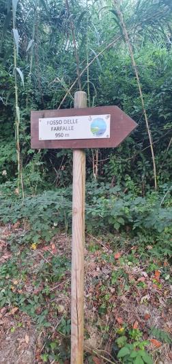 Image No.32-4 Bed Villa for sale