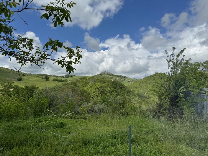 Image No.4-House for sale