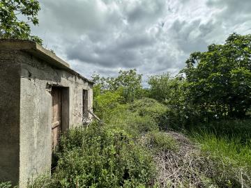 20240508_093805001_iOS