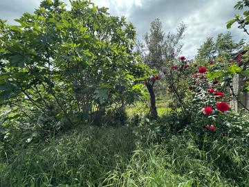 20240508_093841669_iOS