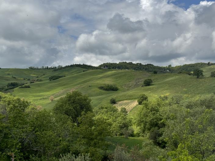 Image No.39-House for sale