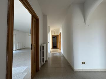 20240507_081757045_iOS