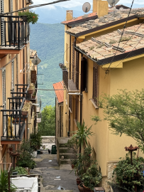 20240529_142515069_iOS