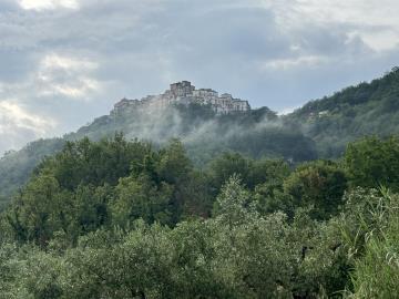 20240529_160920648_iOS