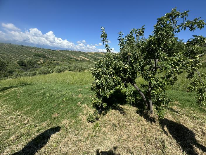 Image No.48-3 Bed Farmhouse for sale