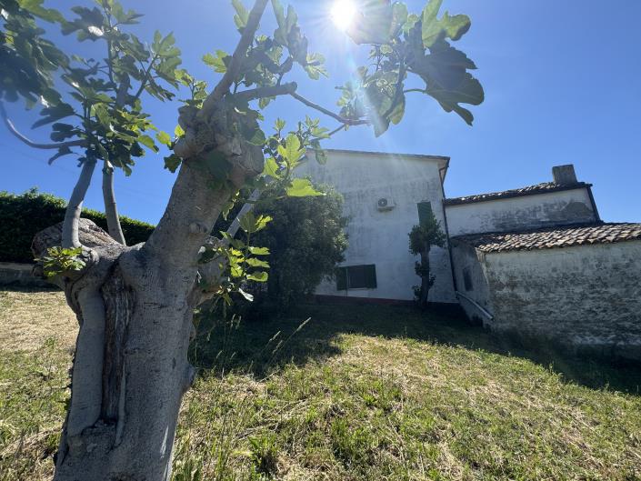 Image No.49-3 Bed Farmhouse for sale