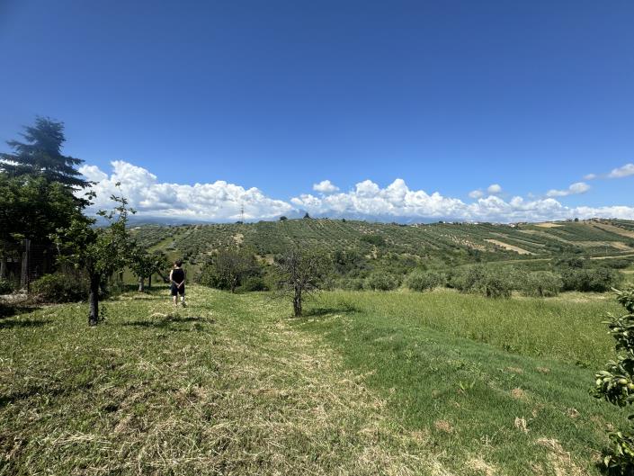 Image No.50-3 Bed Farmhouse for sale