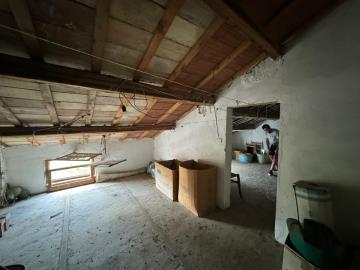 WhatsApp-Image-2024-07-22-at-16-30-58--20-