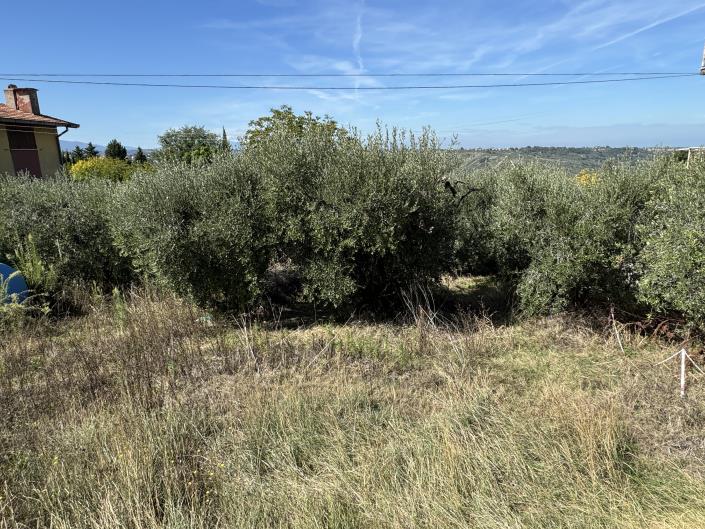 Image No.10-Maison à vendre à Castél Frentano