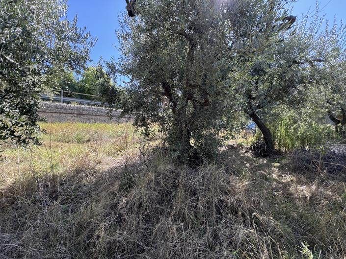 Image No.42-Maison à vendre à Castél Frentano