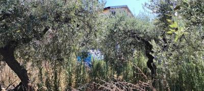 1badd91a-6921-4e4f-b480-6e97129bebd0