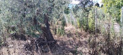 8526fcad-5d88-44e3-b69c-da9c6e26be46