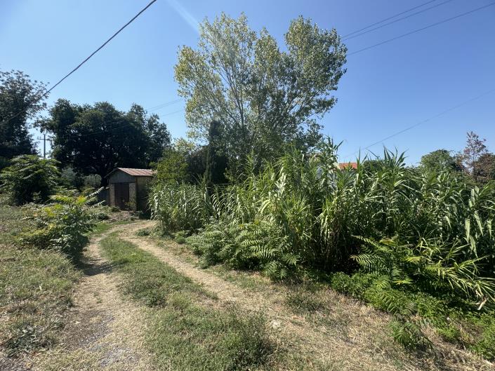 Image No.46-Propriété de pays de 4 chambres à vendre à Tornareccio