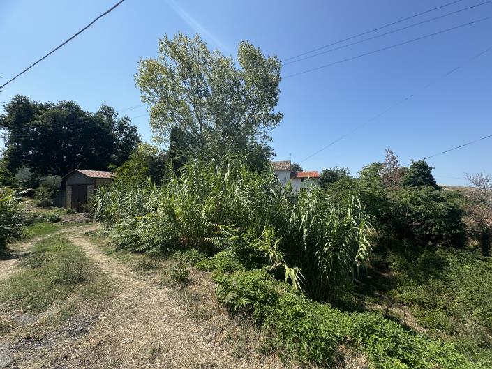 Image No.2-Propriété de pays de 4 chambres à vendre à Tornareccio