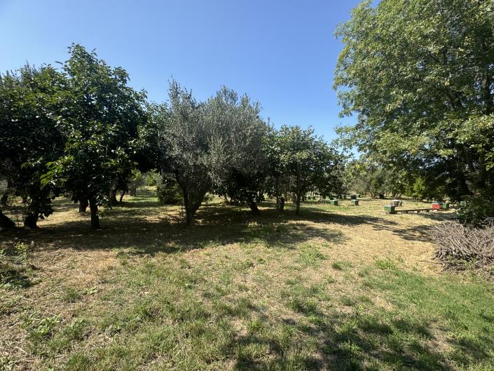 Image No.49-Propriété de pays de 4 chambres à vendre à Tornareccio