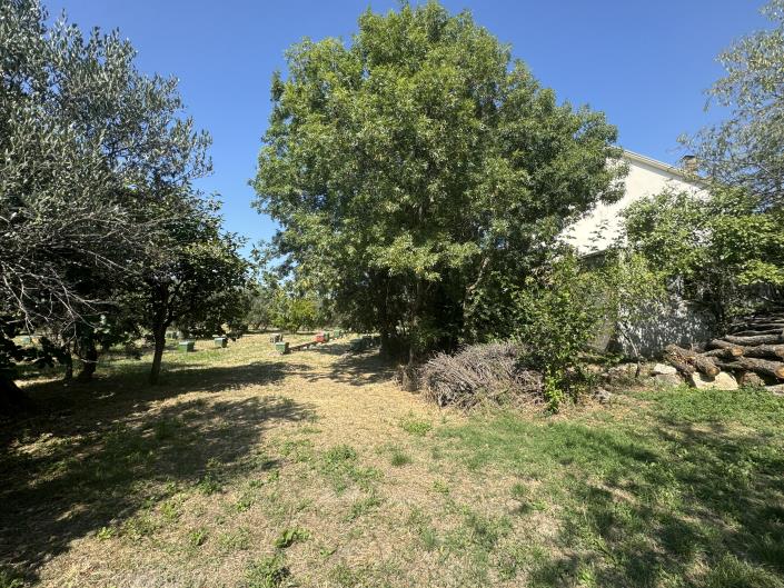 Image No.50-Propriété de pays de 4 chambres à vendre à Tornareccio