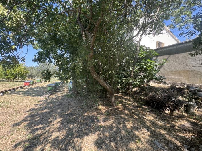 Image No.51-Propriété de pays de 4 chambres à vendre à Tornareccio