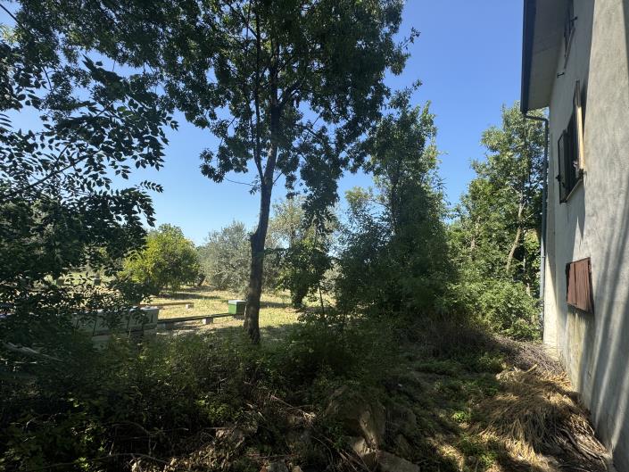 Image No.6-Propriété de pays de 4 chambres à vendre à Tornareccio