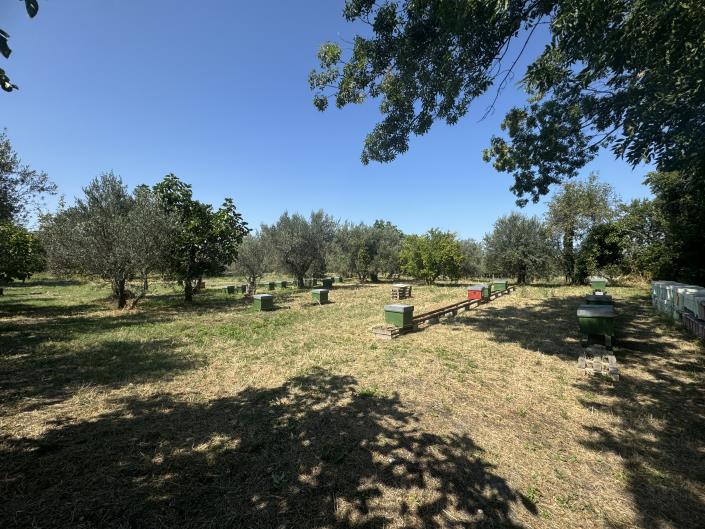 Image No.5-Propriété de pays de 4 chambres à vendre à Tornareccio