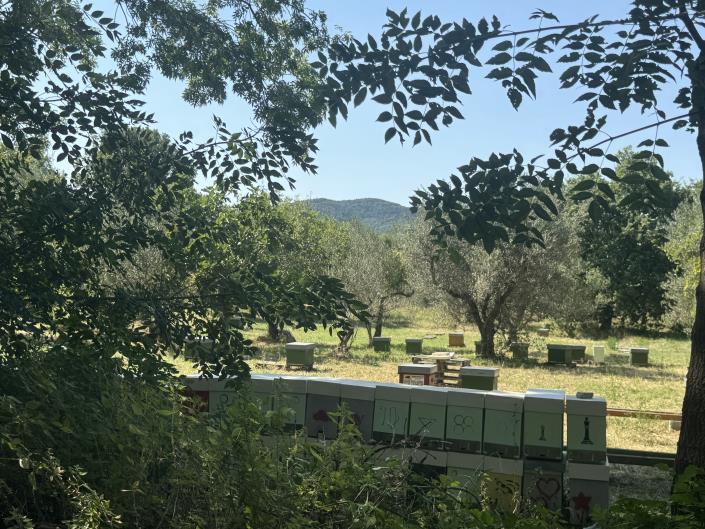 Image No.4-Propriété de pays de 4 chambres à vendre à Tornareccio