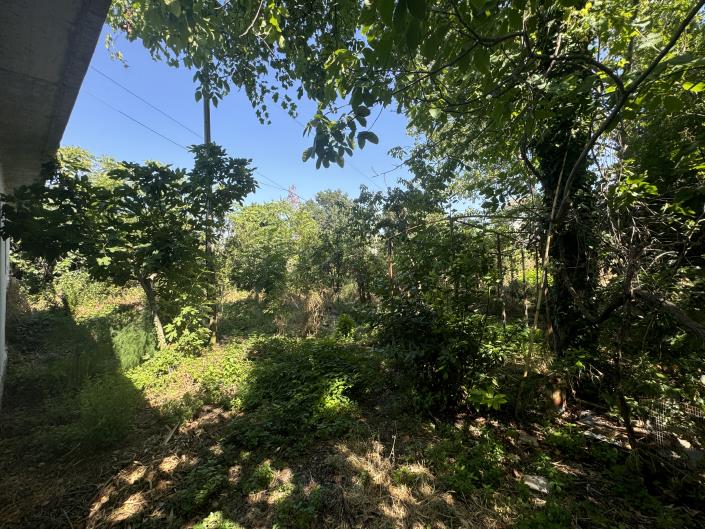 Image No.56-Propriété de pays de 4 chambres à vendre à Tornareccio