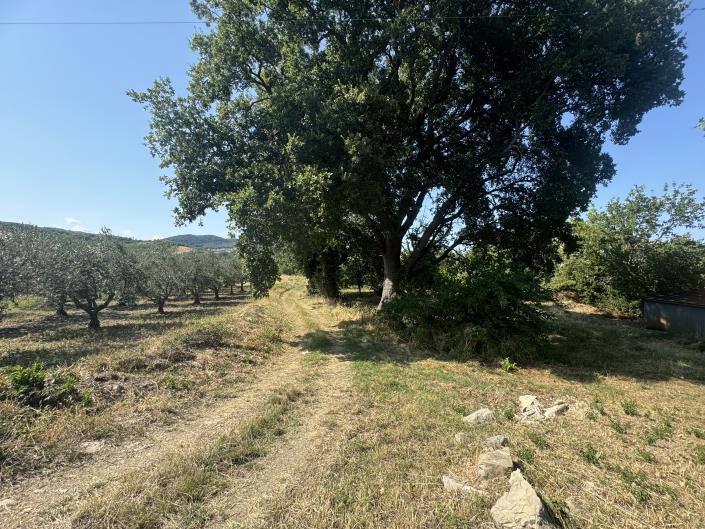 Image No.58-Propriété de pays de 4 chambres à vendre à Tornareccio