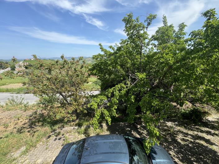 Image No.24-Maison de campagne de 3 chambres à vendre à Atessa