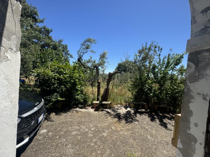 Image No.16-Ferme à vendre à Fossacesia