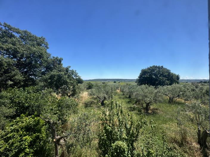 Image No.17-Ferme à vendre à Fossacesia