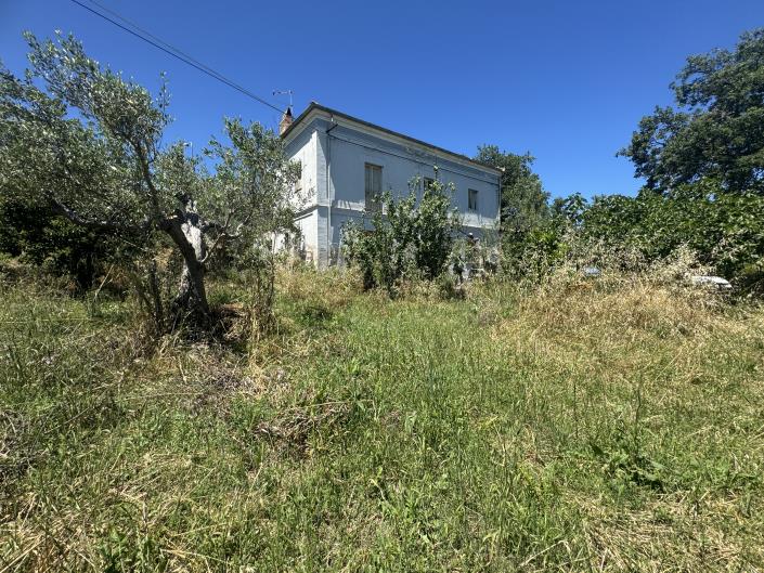 Image No.42-Ferme à vendre à Fossacesia