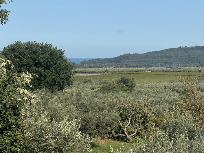 Image No.18-Ferme à vendre à Fossacesia