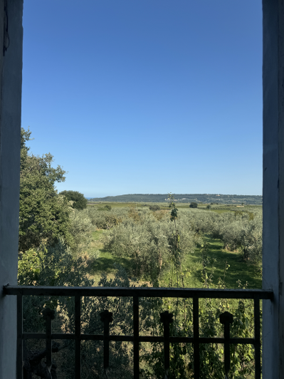 Image No.3-Ferme à vendre à Fossacesia