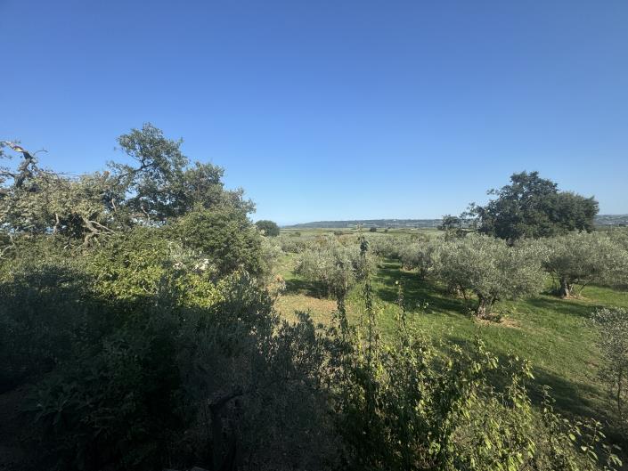 Image No.20-Ferme à vendre à Fossacesia