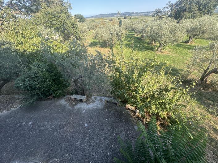 Image No.19-Ferme à vendre à Fossacesia