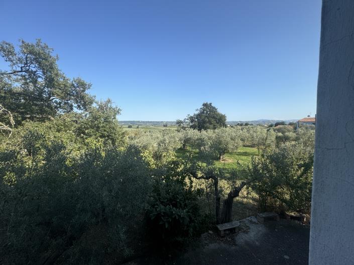 Image No.34-Ferme à vendre à Fossacesia