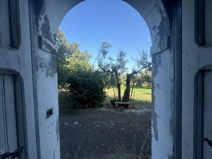 Image No.33-Ferme à vendre à Fossacesia