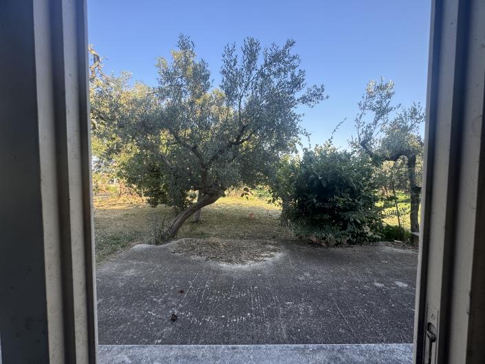 Image No.32-Ferme à vendre à Fossacesia