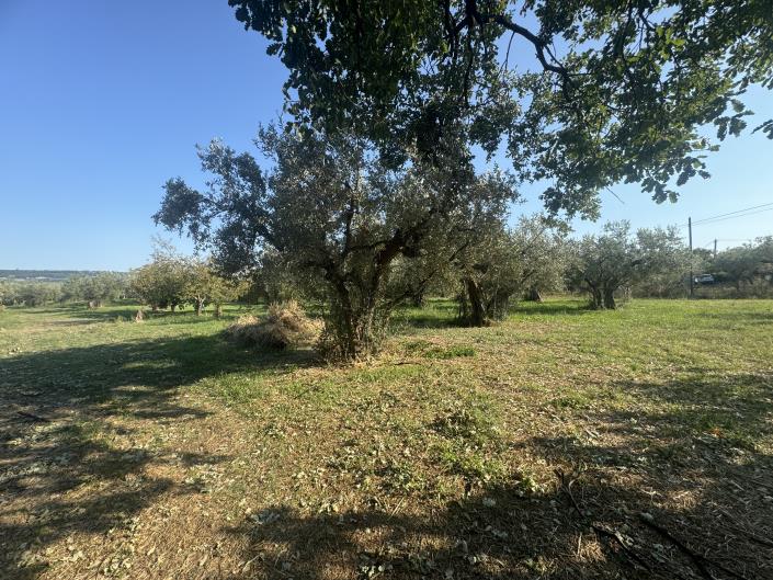 Image No.36-Ferme à vendre à Fossacesia