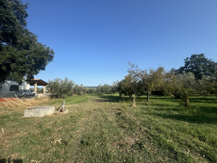 Image No.37-Ferme à vendre à Fossacesia