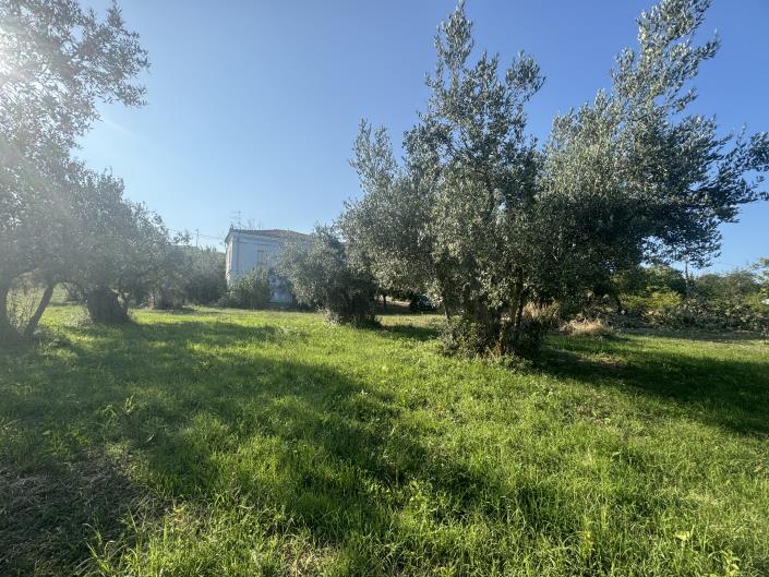 Image No.38-Ferme à vendre à Fossacesia