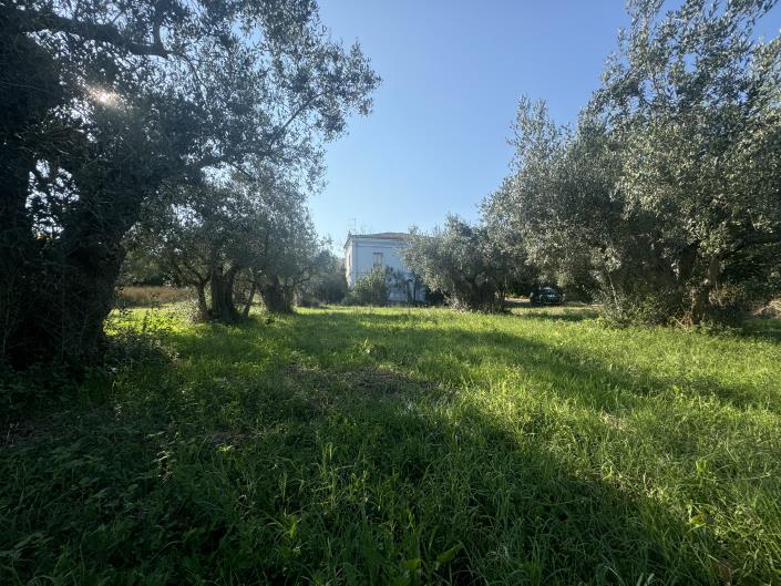 Image No.2-Ferme à vendre à Fossacesia