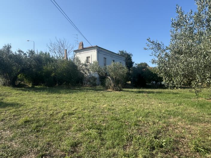 Image No.40-Ferme à vendre à Fossacesia